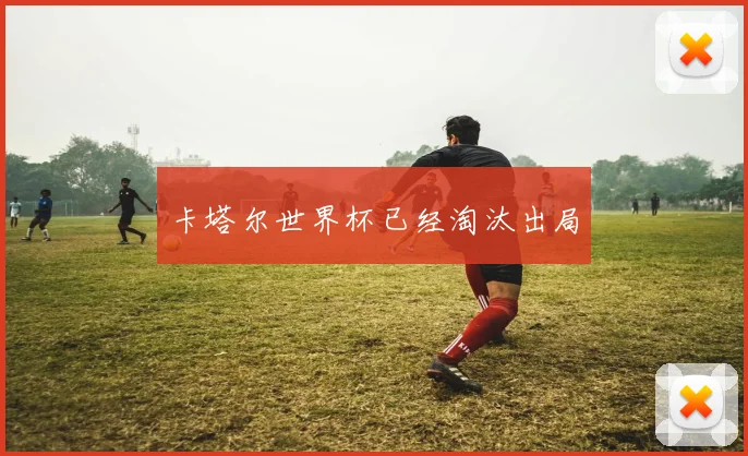 卡塔尔世界杯已经淘汰出局