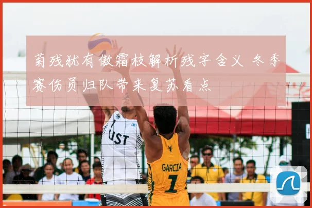 菊残犹有傲霜枝解析残字含义 冬季赛伤员归队带来复苏看点