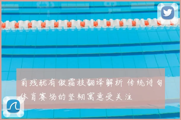 菊残犹有傲霜枝翻译解析 传统诗句体育赛场的坚韧寓意受关注