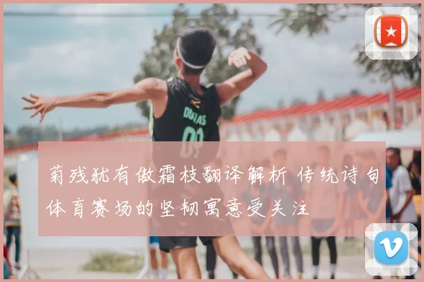 菊残犹有傲霜枝翻译解析 传统诗句体育赛场的坚韧寓意受关注