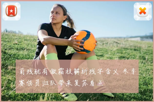 菊残犹有傲霜枝解析残字含义 冬季赛伤员归队带来复苏看点